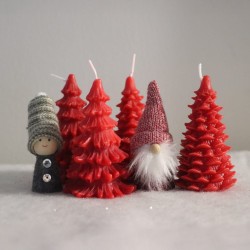 Pikkukuusi (realistinen)