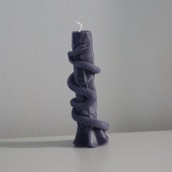 Käärmesauva