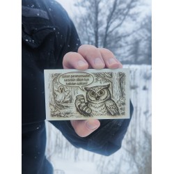 Magneetti - Pöllö ja kadonnut sukka