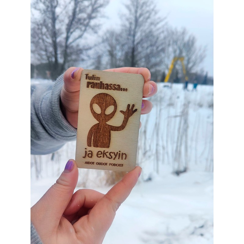 Magneetti - Tulin rauhassa ja eksyin